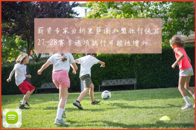 薪资专家分析里萨谢加盟独行侠后27-28赛季选项执行可能性增加