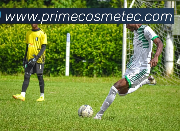 企业概况